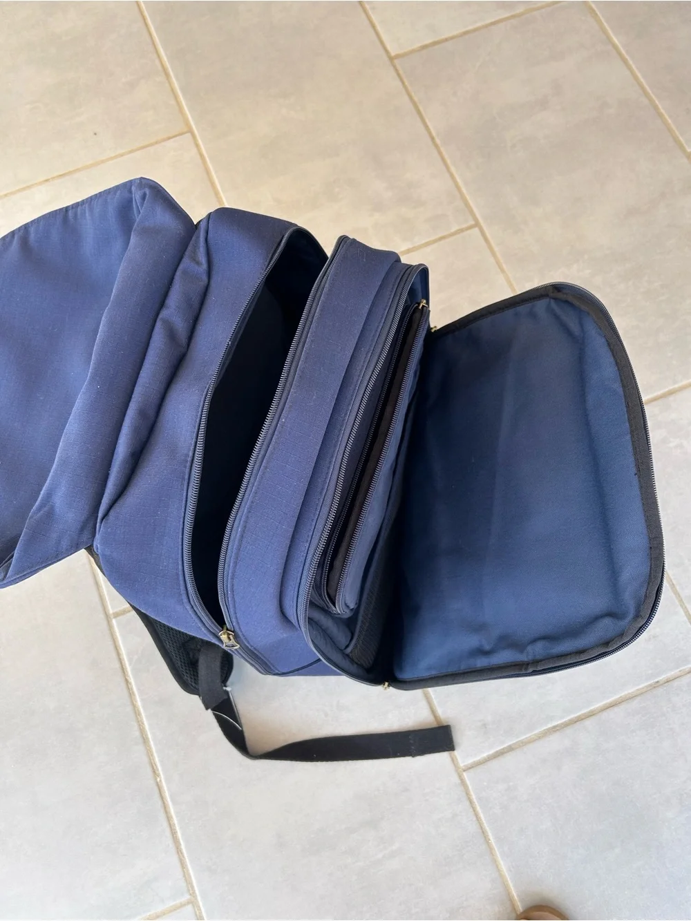Reddy Navy Canvas Backpack with Contrast Straps